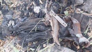 Задержано одно лицо по факту убийства в Мердзаване